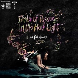 Birds of Passage in the Half Light by Kat Woods