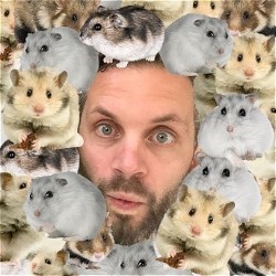 Twenty Hamsters. Jamie Keddie