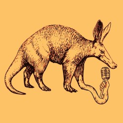 Aardvark Comedy with Dylan Clarke