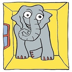 Elephant in the Room: An Improvised Comedy Show