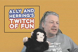 Ally and Herring's Twitch of Fun. Richard Herring