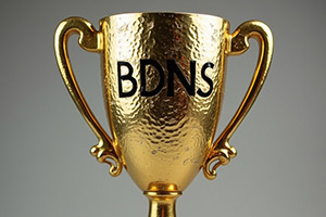 BDNS