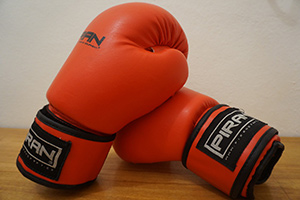 Boxing Gloves