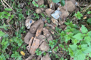 Stone Clearing with Richard Herring