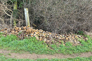 Stone Clearing with Richard Herring