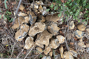 Stone Clearing with Richard Herring