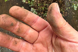 Stone Clearing with Richard Herring