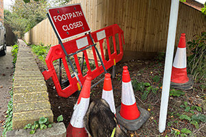 Stone Clearing with Richard Herring