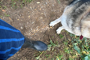 Stone Clearing with Richard Herring