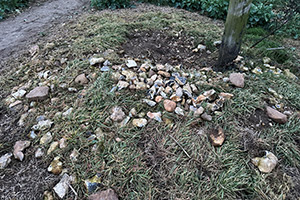 Stone Clearing with Richard Herring