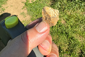 Stone Clearing with Richard Herring