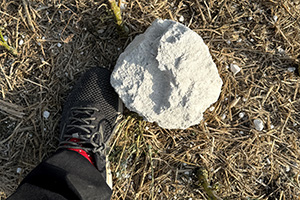 Stone Clearing with Richard Herring