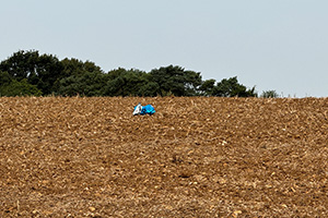 Stone Clearing with Richard Herring