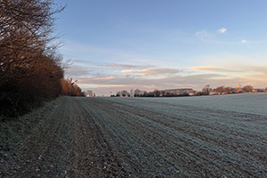 Stone Clearing with Richard Herring