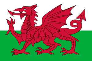 Welsh Flag