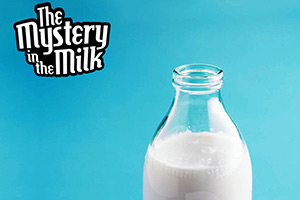 ManBuyCow - The Mystery in the Milk