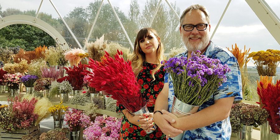 The Big Flower Fight. Image shows from L to R: Natasia Demetriou, Vic Reeves