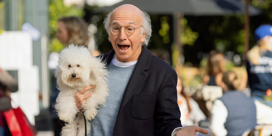 Curb Your Enthusiasm. Larry David