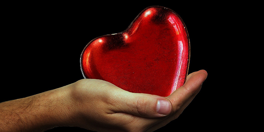 Heart in hands image by S. Hermann & F. Richter from Pixabay