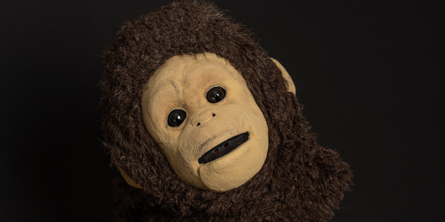 A monkey puppet