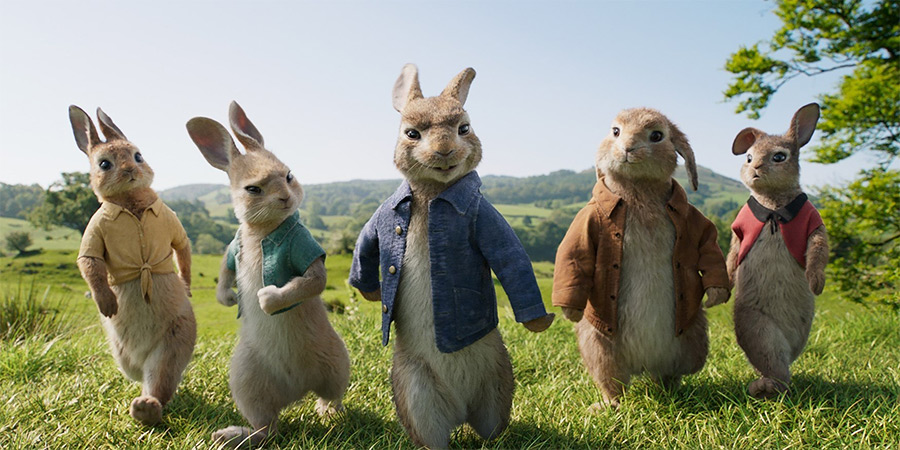 Peter Rabbit