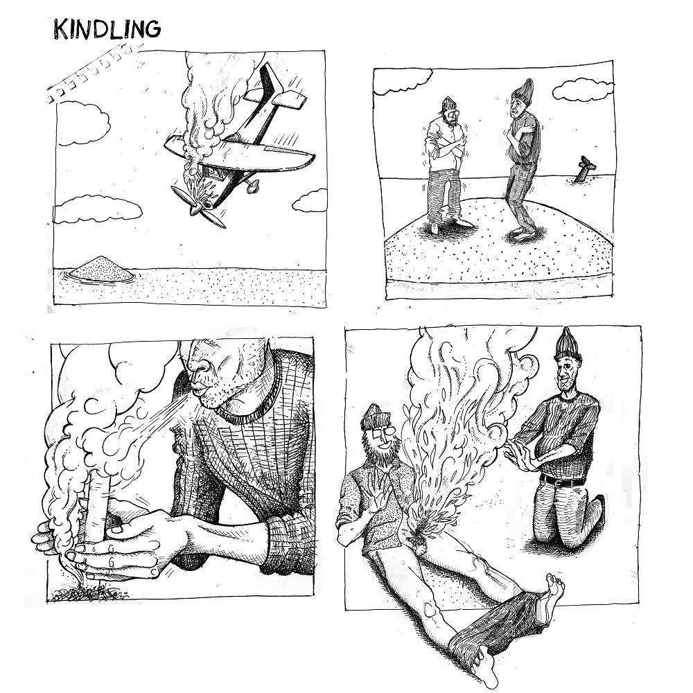 Kindling. Copyright: Richard Todd