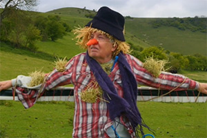 Man Becomes Scarecrow. Ray Bull