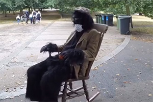 A Young Man Dressed As A Gorilla Dressed As An Old Man